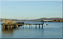 NS2477 : Geese over Gourock Bay by Thomas Nugent