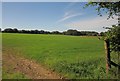SX4679 : Field, Heathfield by Derek Harper
