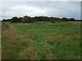 Farmland and woodland, Smithfield Nook