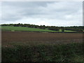 Farmland off Sheffield Road