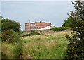 Rough pasture at Hawk Green, Stockport