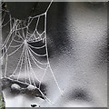 SK2625 : Frost and web on the Jubilee tub by Alan Murray-Rust