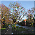 TL4357 : Barton Road on a January afternoon by John Sutton