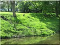 Union Canal near Polmont