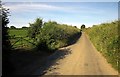 Lane from Devon Great Consols mine