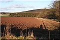 Field at Fothringham