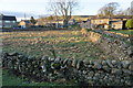 Field in the middle of Carperby