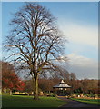 Carr Bank Park, Mansfield, Notts.