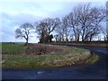 Road junction west of Broomley