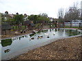 The duck pond at Brooks Farm