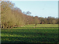 Fields near Rails Farm