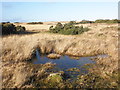 Small pond, above Thornworthy