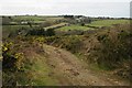 Rough pasture near Wheal Butson Farm