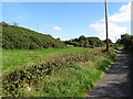 Whin coveed rock outcrop above Lurgancullenboy Road