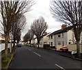 Tree-lined western end of Eastwick Road, Taunton