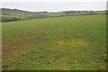 Farmland near Ladock