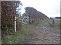 Lyncombe Lane