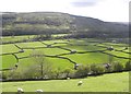 Looking down to Gunnerside Bottoms