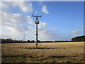 Electricity poles in a stubble field