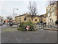 Old Christmas Trees, Finborough Road, London