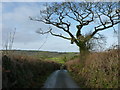 Looking towards Dean Cross, near South Brent