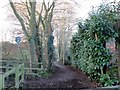 Footpath  and  Cycleway from  Hillcrest  Avenue