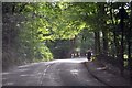 Longridge Road in Hurst Green