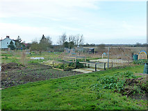TL6230 : Allotments, Bardfield End, Thaxted by Robin Webster