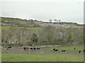 The old school house and Kelston Farm