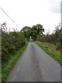 View SSE along Drumalt Road from near the junction with Dorsy Road