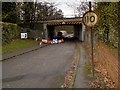 Darley Park Bridge, Farnworth