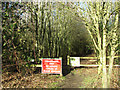 Path into Poringland Community Wood