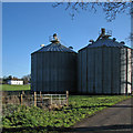 Silos at Westley Lodge Farm