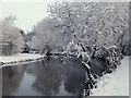H4772 : Snow scene, Camowen River by Kenneth  Allen