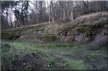 SE9690 : Disused quarry at Hackness Head Wood by Ian S