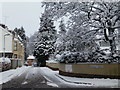 Wintry at Camowen Terrace, Campsie, Omagh