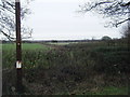 Open landscape north-east of Stockley Lane near Fogg