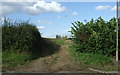 Track (footpath) off Main Road