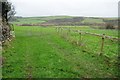 Farmland near Gwealavellan