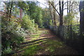 Footpath, North Farm