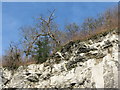 Cliffs above the A623 at Stoney Middleton