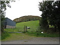 Mullaghbawn Mountain from the Lough Road