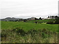 View across farmland towards the Back Road, Mullaghbawn