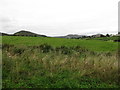 Undulating farmland on the north side of Cranny Road