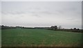 SK6539 : Field on the edge of Radcliffe by N Chadwick