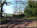 Muddy roadside corner near Parkhouse