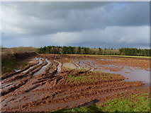 SO4804 : Flooded  and muddy field, between Trelleck and Llanishen by Ruth Sharville