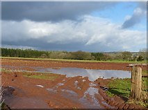 SO4804 : Flooded field and colourful clouds, between Trelleck and  Llanishen by Ruth Sharville