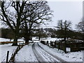 Snowy driveway, Culcreuch Castle Hotel