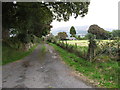 Access lane leading to a farmhouse on the east side of Back Road, Mullaghbawn